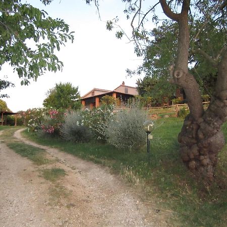 Agriturismo Casa Fibbianello Semproniano Екстер'єр фото