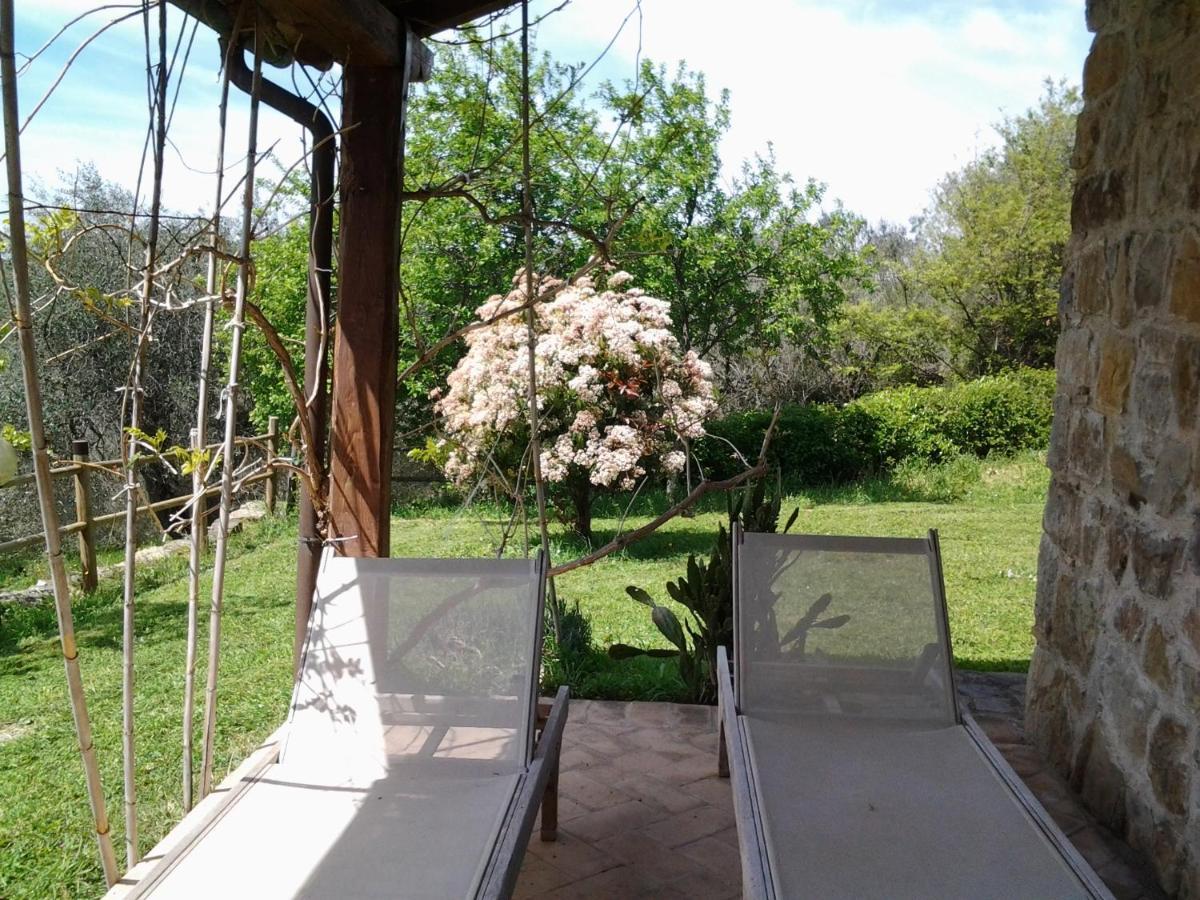 Agriturismo Casa Fibbianello Semproniano Екстер'єр фото