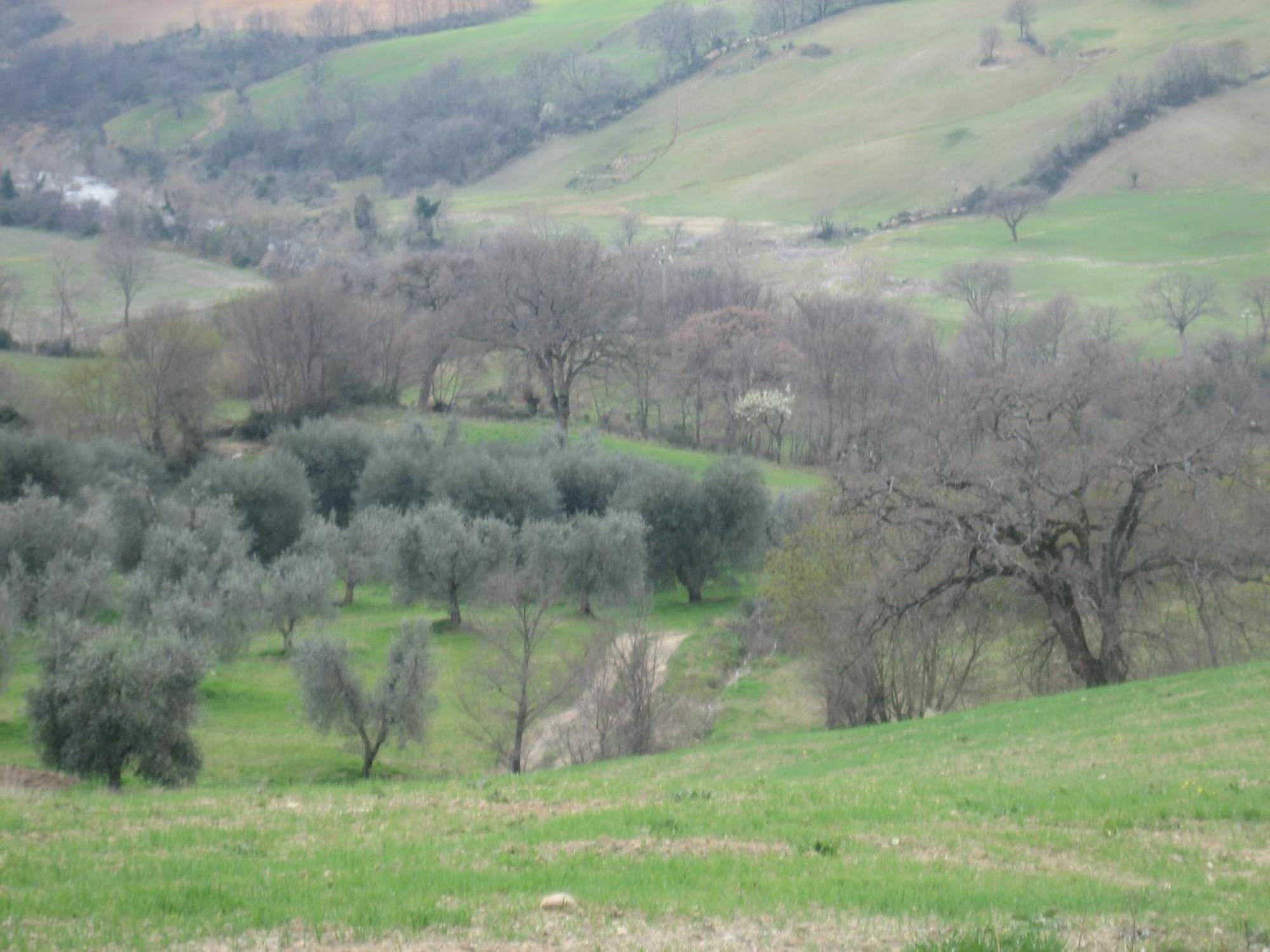 Agriturismo Casa Fibbianello Semproniano Екстер'єр фото
