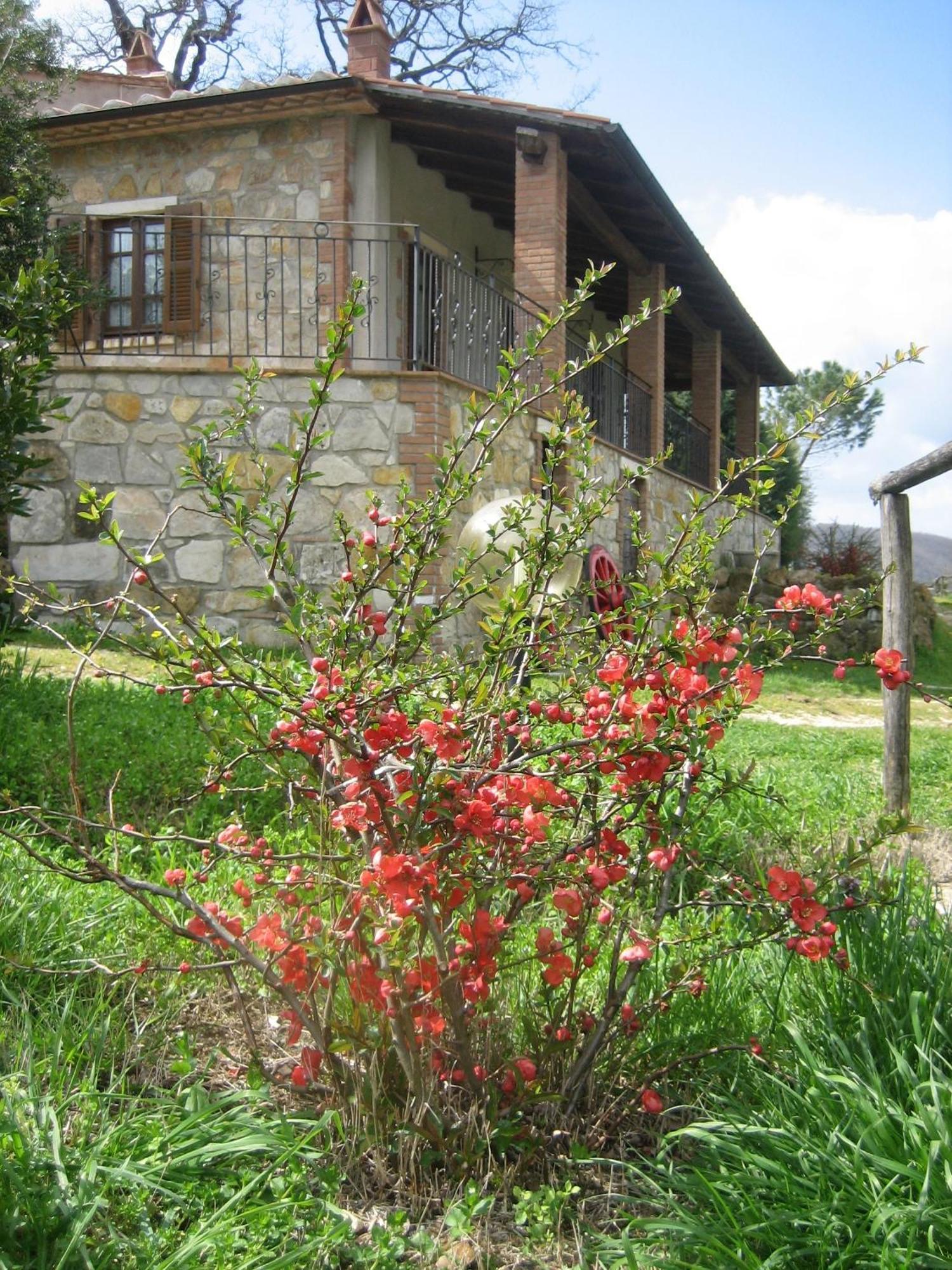 Agriturismo Casa Fibbianello Semproniano Екстер'єр фото