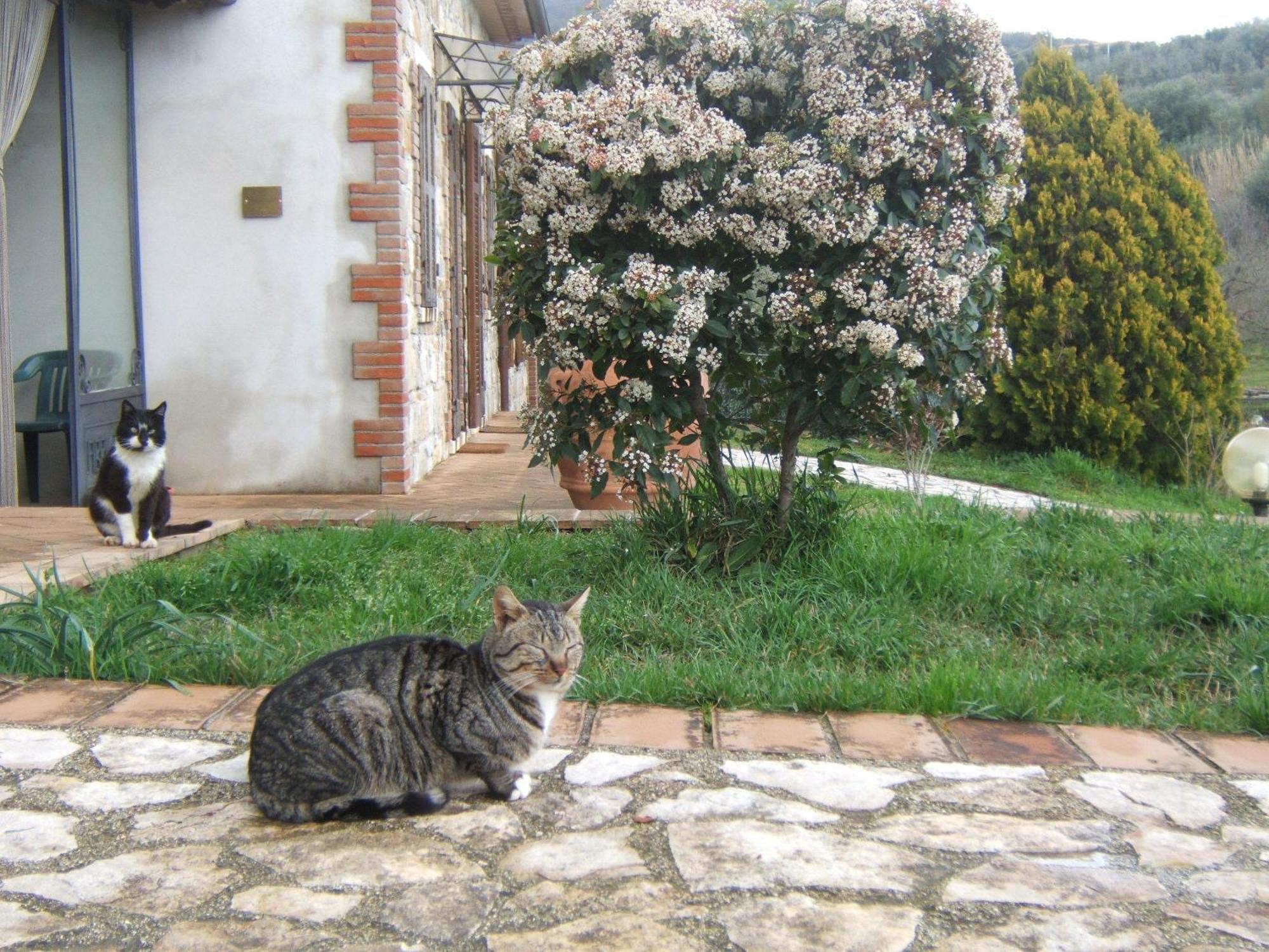 Agriturismo Casa Fibbianello Semproniano Екстер'єр фото