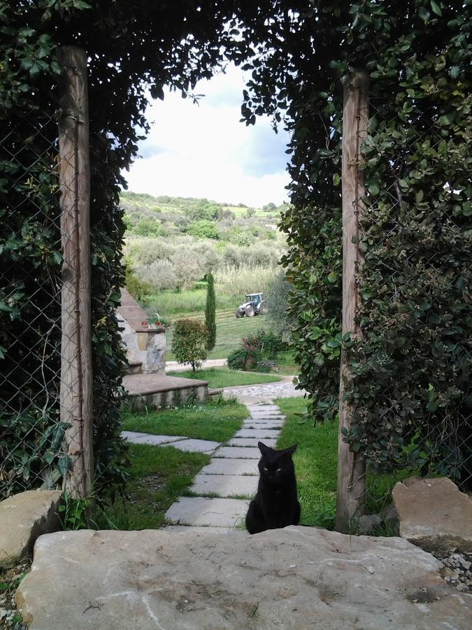 Agriturismo Casa Fibbianello Semproniano Екстер'єр фото